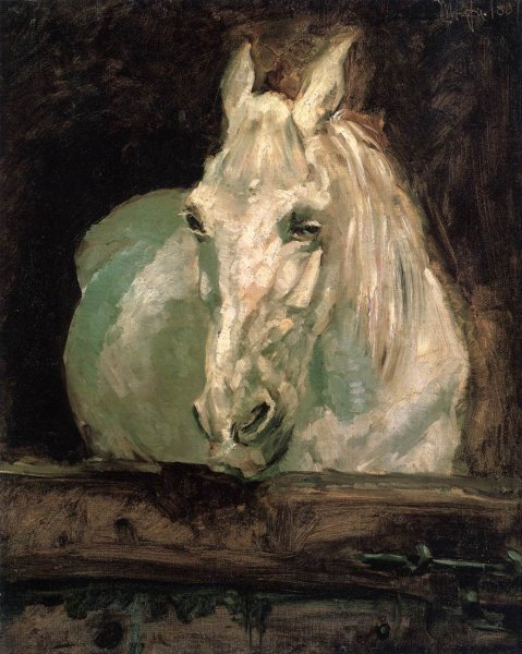 The White Horse Gazelle